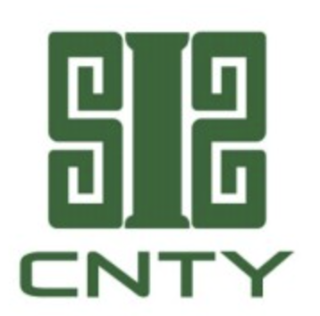 China Tianying logo